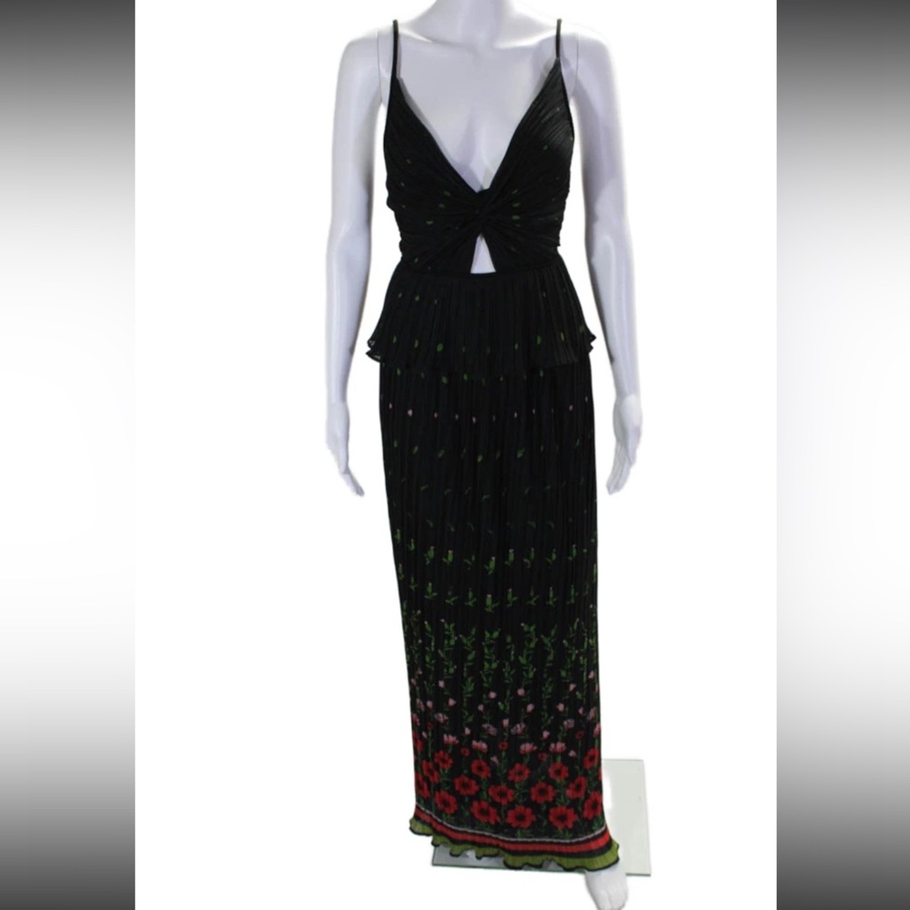 Sabina Musayev Poppy Dipped Pleated Maxi Dress - Picture 7 of 11